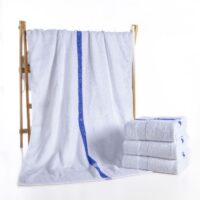 Blue Stripe Pool Towel