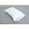 Queen Pillow Cases T200