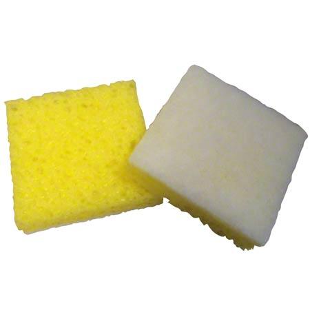 Sponges