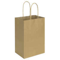 twist handle kraft bag