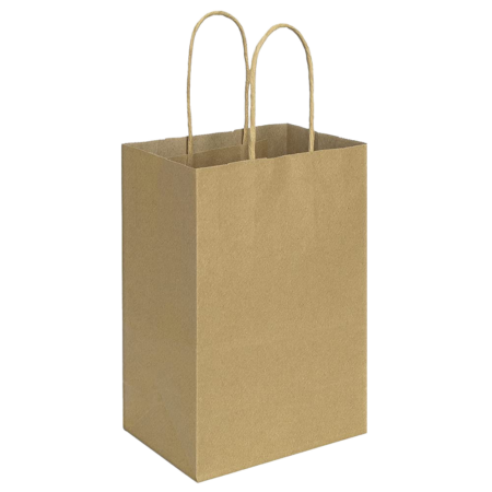 twist handle kraft bag